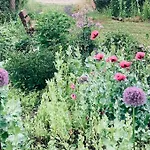 Urlaubsidylle Friedrichswalde Ferienhaus Niederdorla