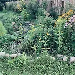 Urlaubsidylle Friedrichswalde * Niederdorla