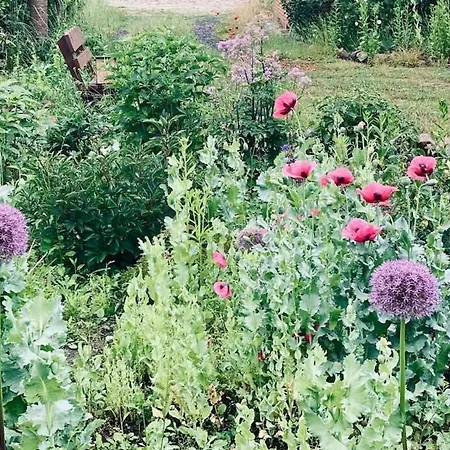 Urlaubsidylle Friedrichswalde 度假居 Niederdorla