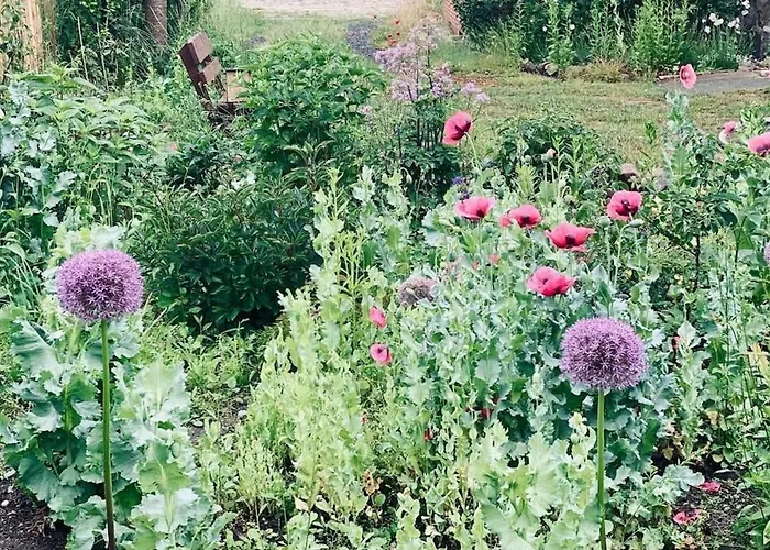 Urlaubsidylle Friedrichswalde Nyaraló Niederdorla